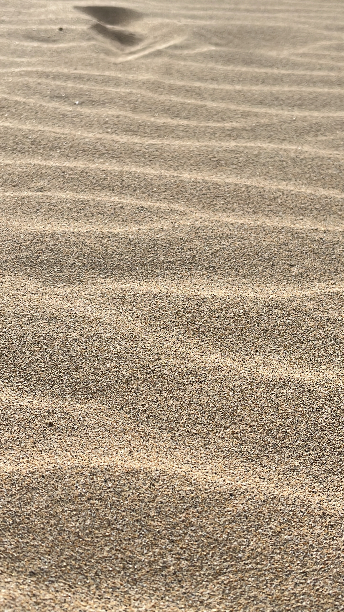 Foto de Fuerteventura