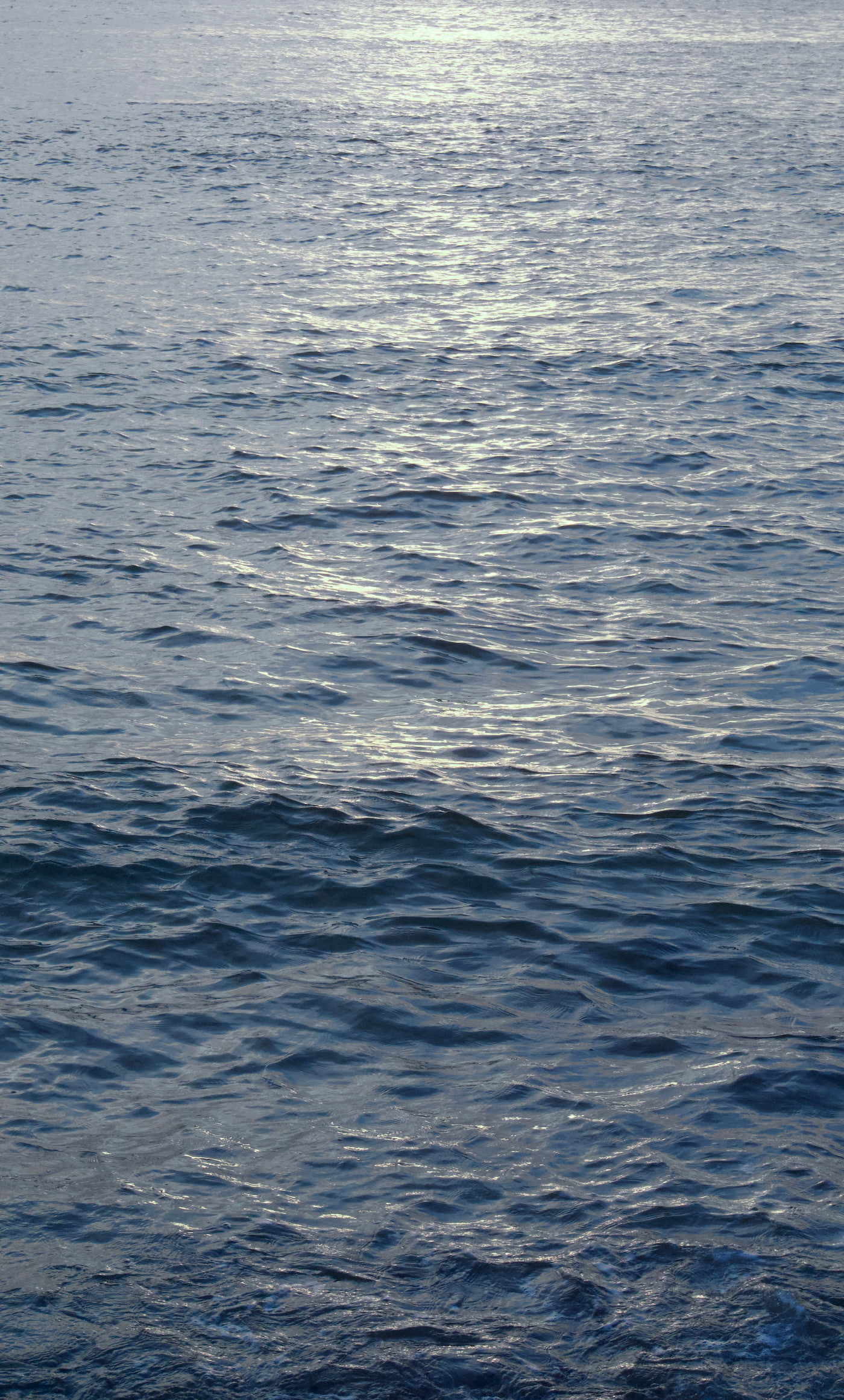 Foto de Fuerteventura