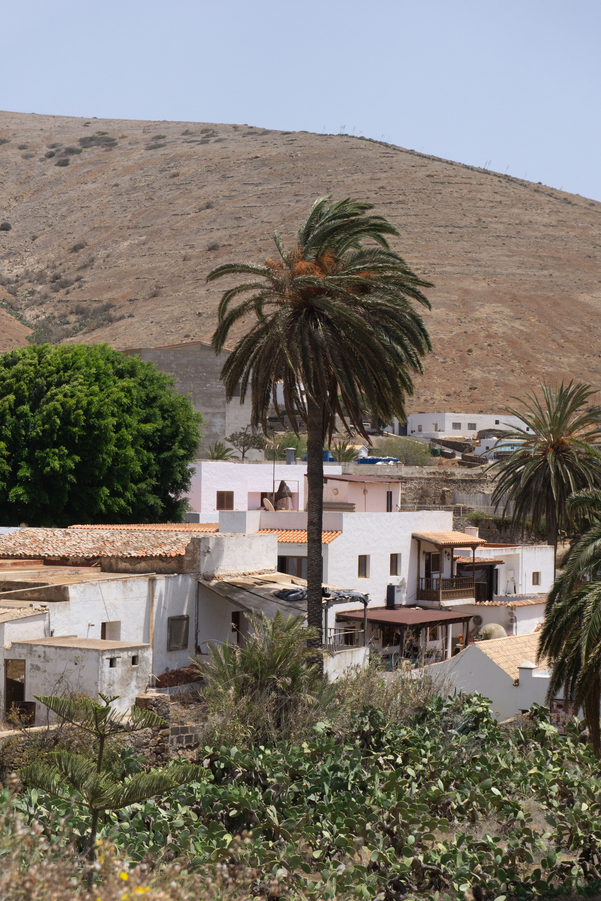 Foto de Fuerteventura